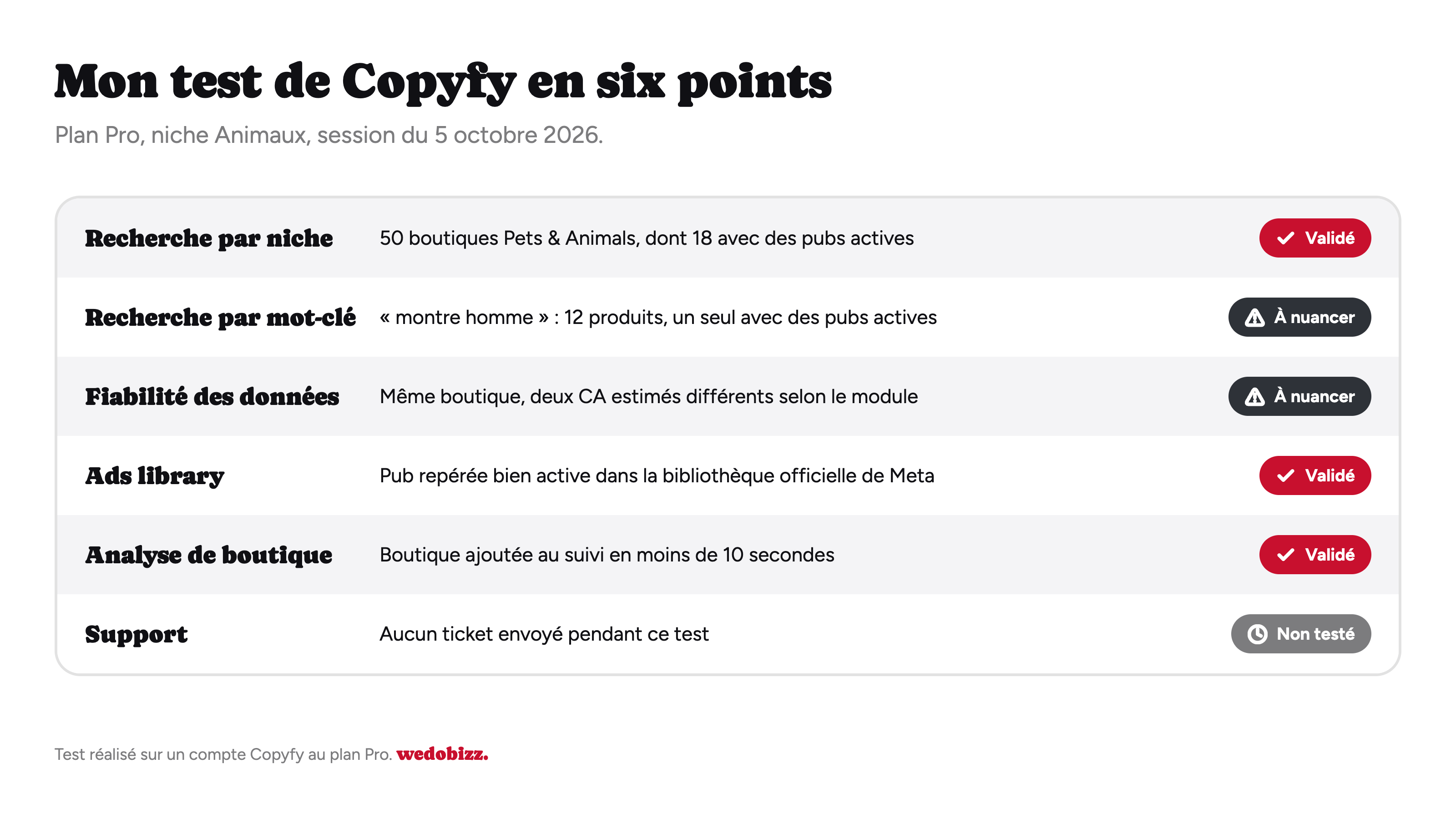 Copyfy avis : relevé du test en six points, recherche, données, pubs, analyse et support